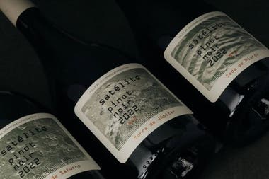 CATA DÍA DEL PADRE - FERIA EDICIÓN INVIERNO