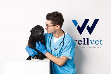 WELLVET CLÍNICA VETERINARIA