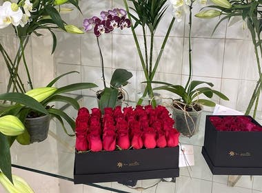FLORERÍAS TU JARDÍN