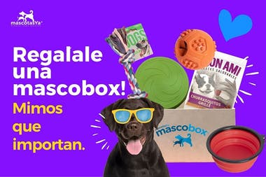 MASCOTAS YA