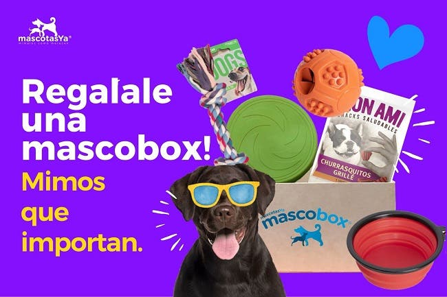 Descuentos en MASCOTAS YA con Club LA NACION