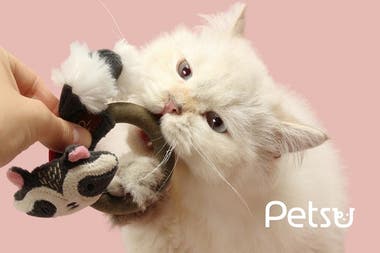 PETSU