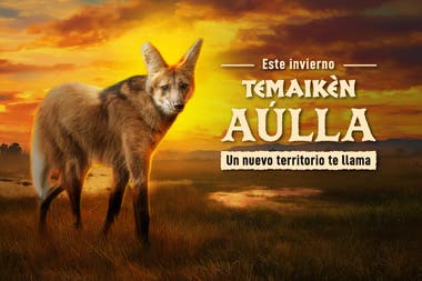 TEMAIKEN